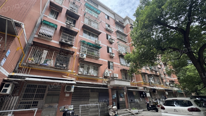 银杉路279号外景图