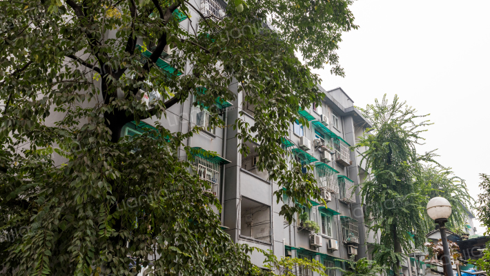 定安路44号外景图