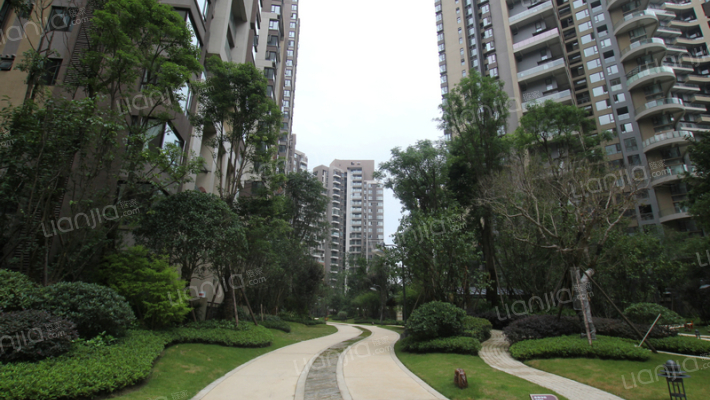 麓山国际云曦台外景图