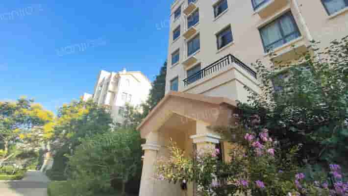 海涛新都外景图