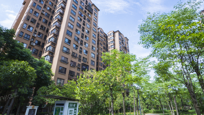 中信凯旋蓝岸外景图