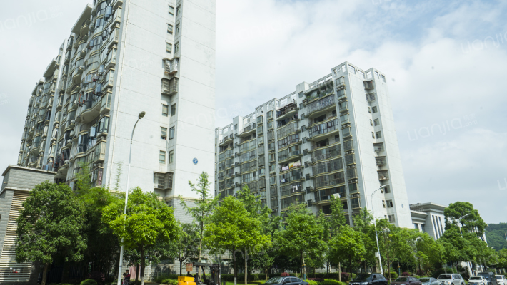 金质嘉苑外景图