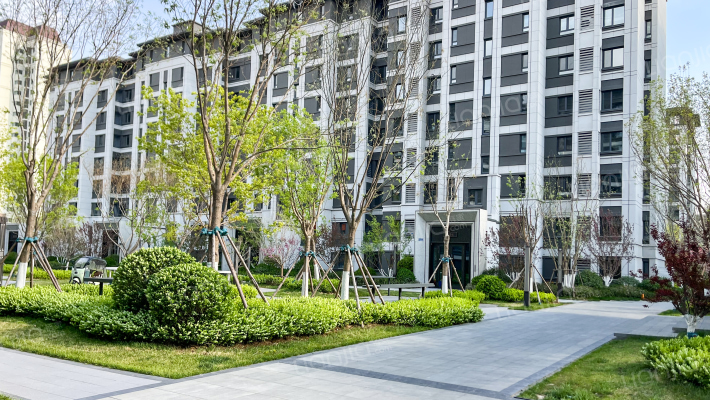 龙湖樘樾外景图