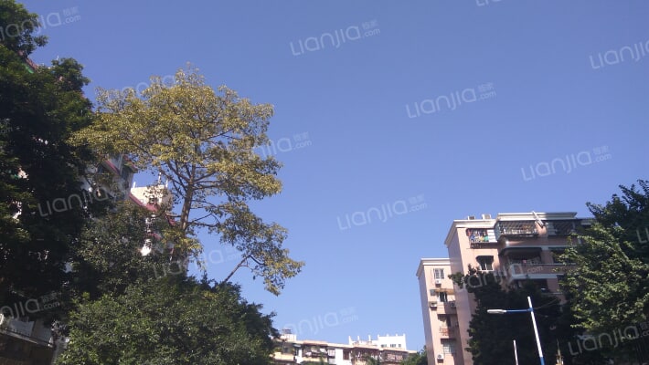 白云家园外景图