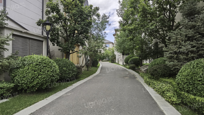 新世界丽樽外景图