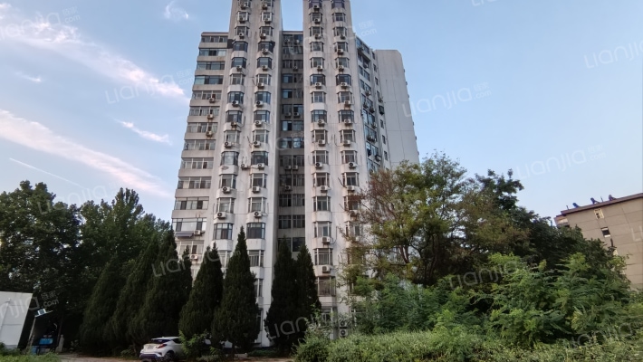 东方国际外景图