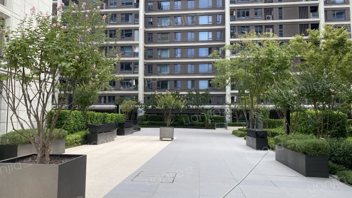 绿城晓风印月外景图