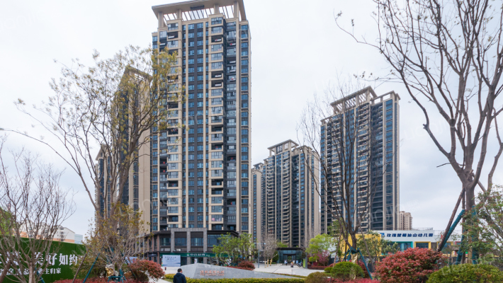 保利星河九洲外景图