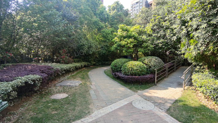 新长江香樟林外景图