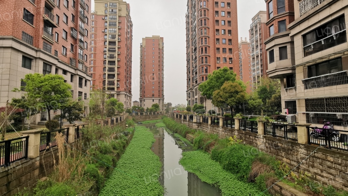 通怡花苑外景图