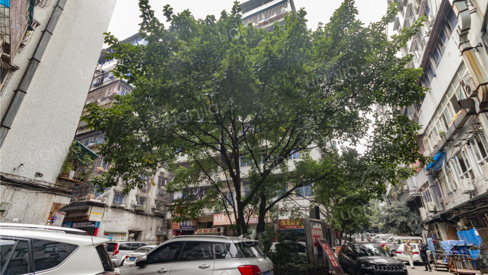 南方花园A区外景图