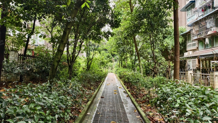 聚盛逸品森香外景图