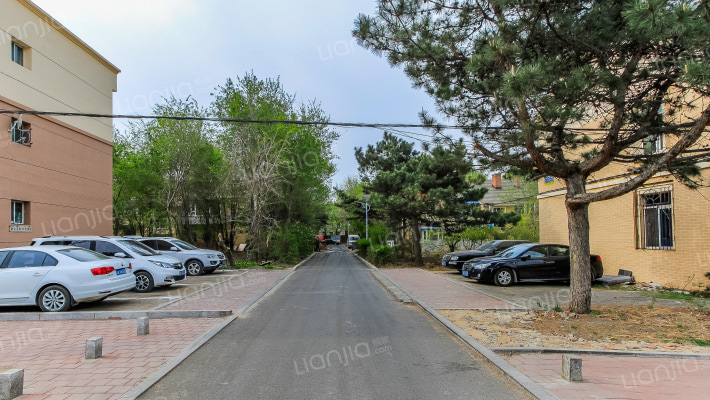 农大老区外景图