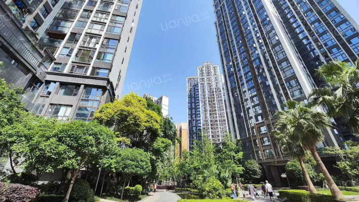 戛纳湾金棕榈外景图