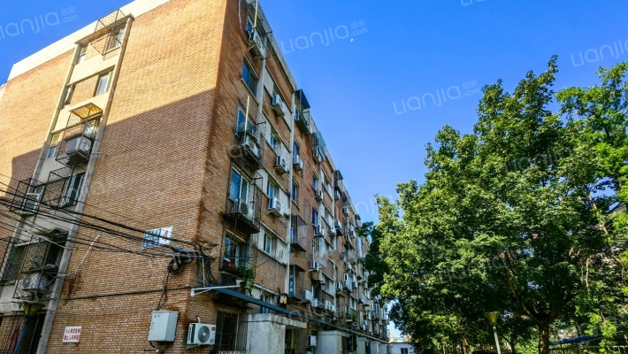 青塔西里4号院外景图