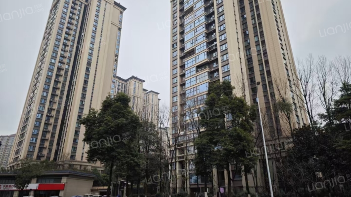 花样年香门第北区外景图