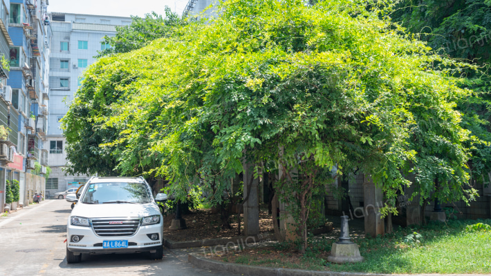 中国烟草公司宿舍外景图