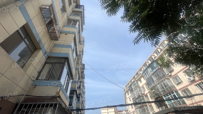 世纪路中段外景图