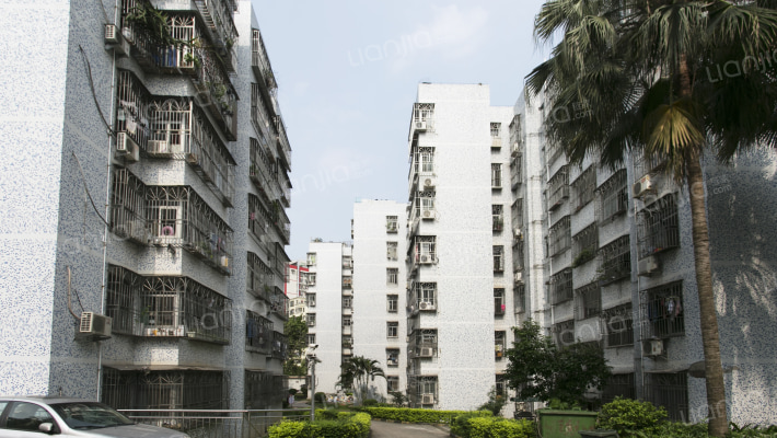 市政大院外景图