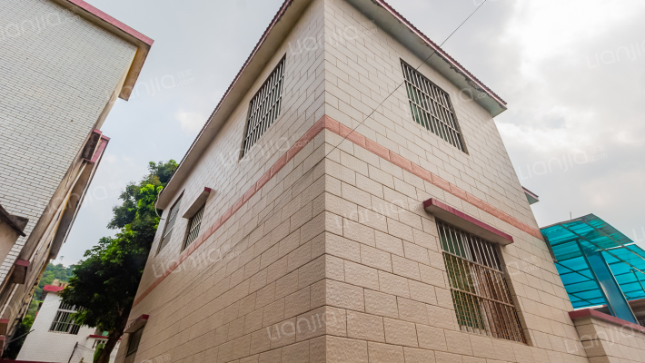 大环村中环北街外景图