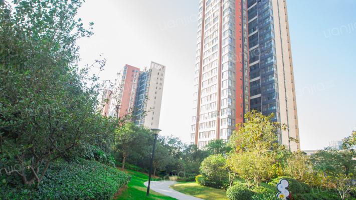 通利紫荆尚都外景图