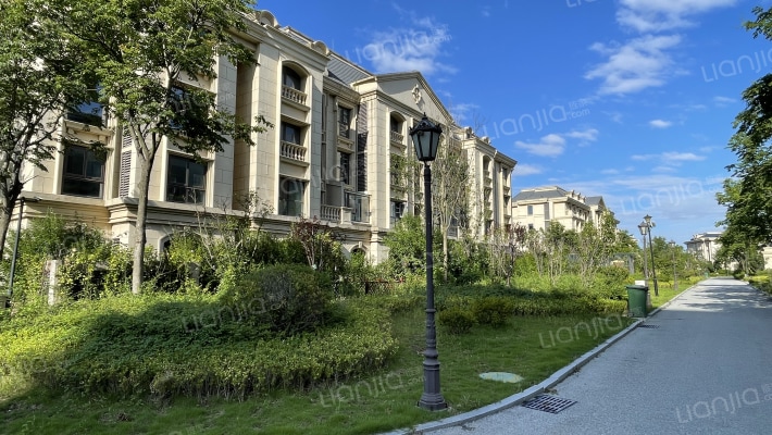 红豆杉养生谷外景图