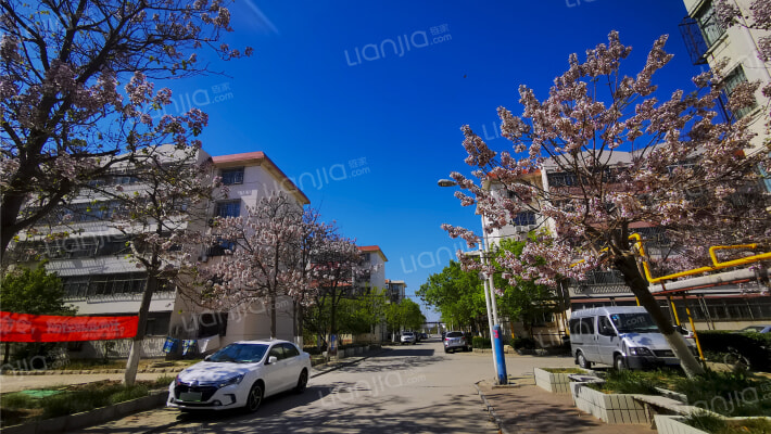 北区西里外景图