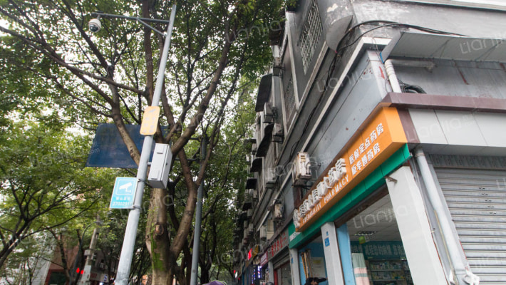 新生街138号外景图