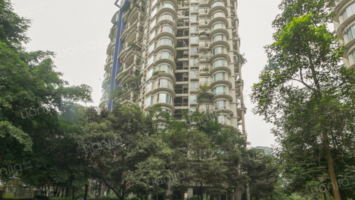 南方上格林红枫苑外景图