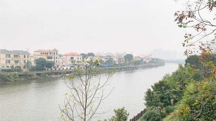 松雅湖金岸外景图