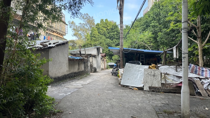 华南农业大学长岗山外景图