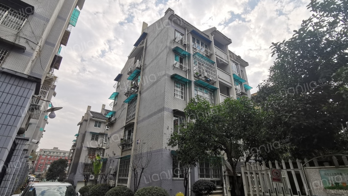 新桥公寓外景图