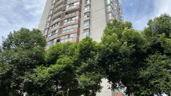 天和国际外景图