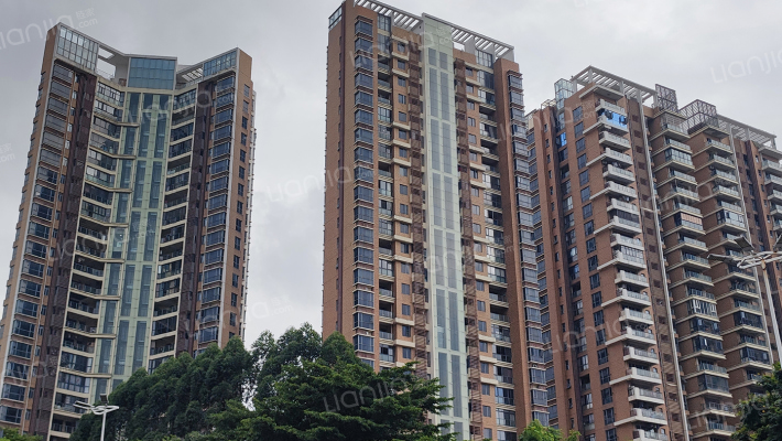 苏豪名苑外景图