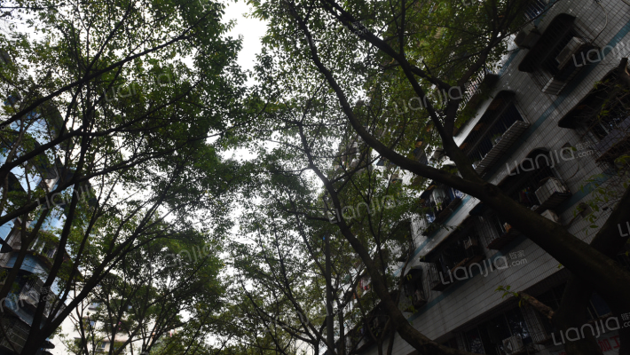 龙康街社区外景图