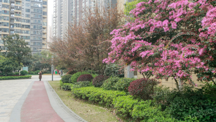 北辰三角洲奥城E3区外景图