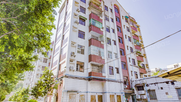 银菊花小区外景图