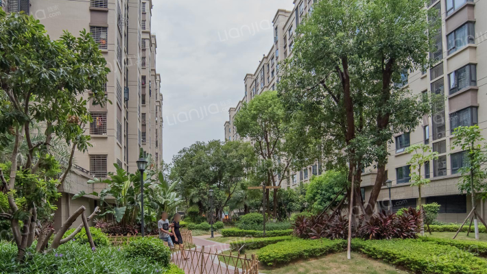 金枋世家一期外景图