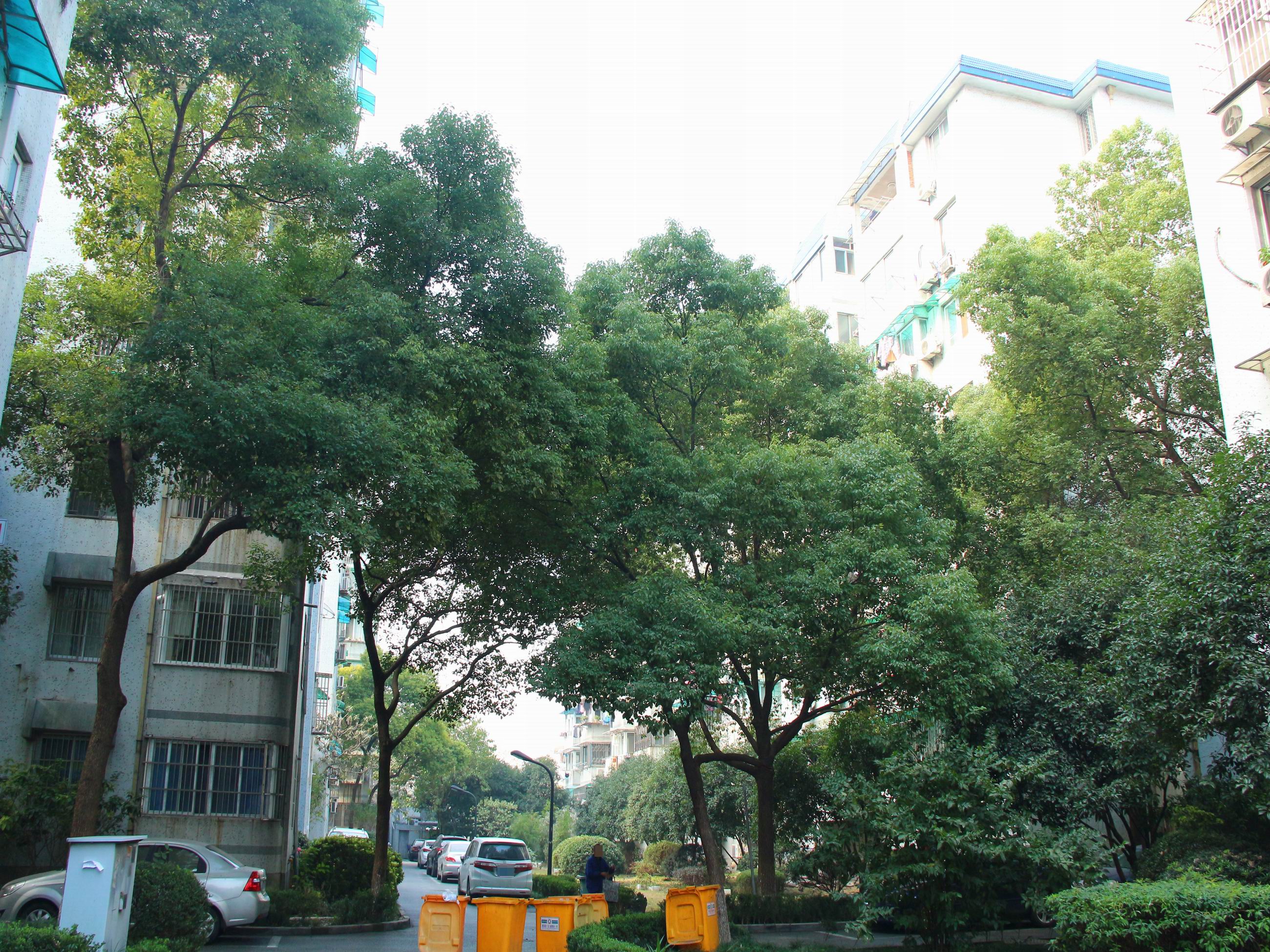 Nandu Garden compound photo 49