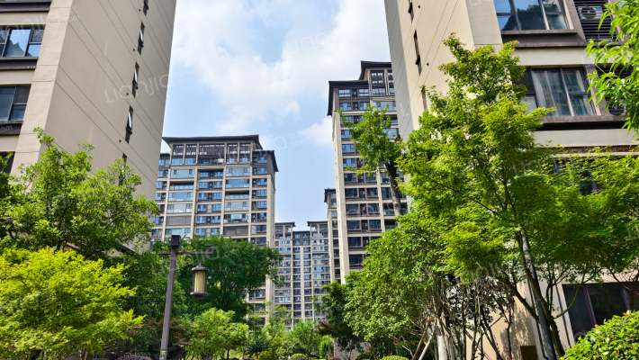 建发央誉外景图