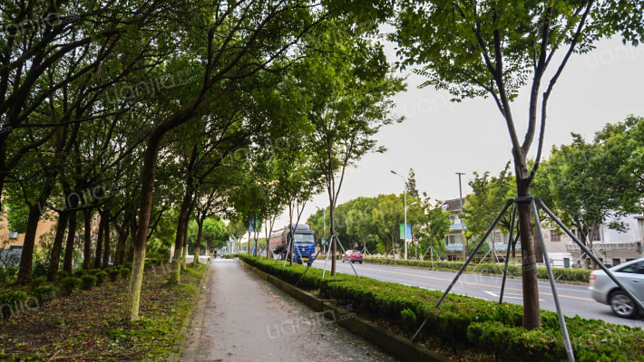 冷泾南区外景图