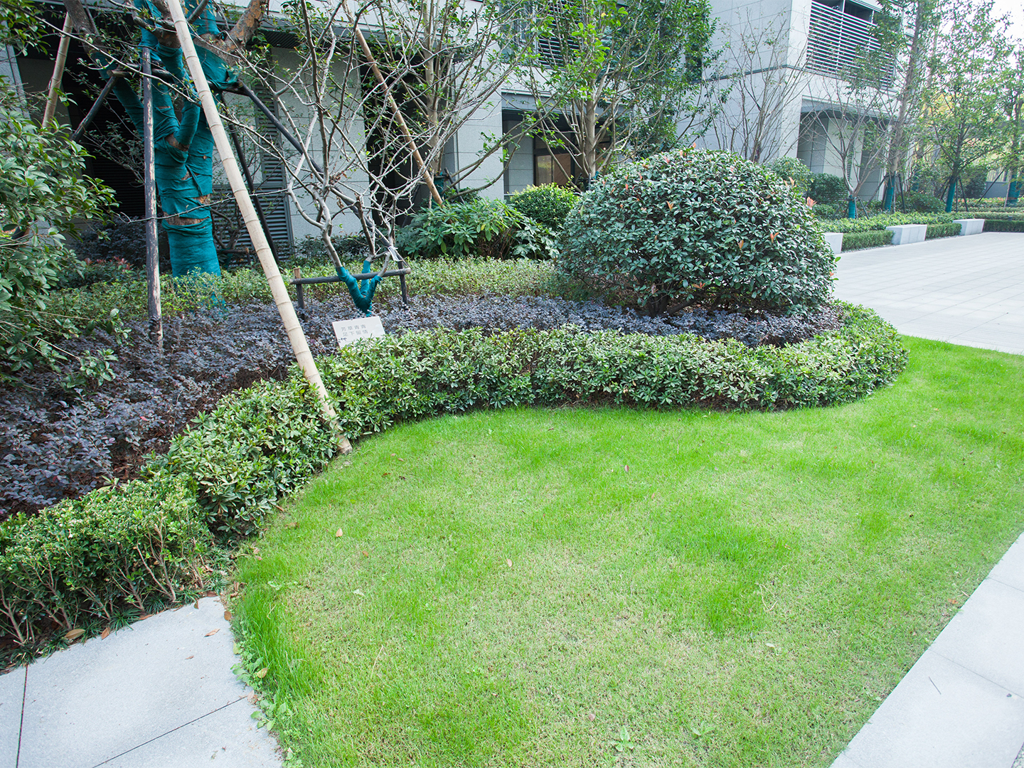 Greentown Liu Xiang Yuan compound photo 13