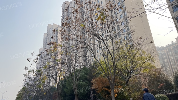 瑞景国际外景图