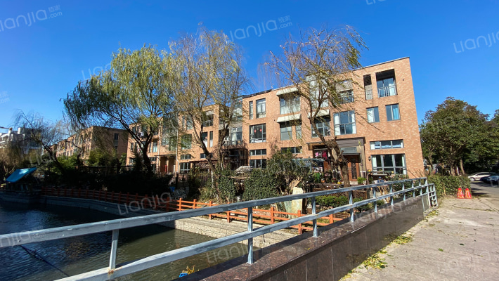 金城上品(别墅)外景图