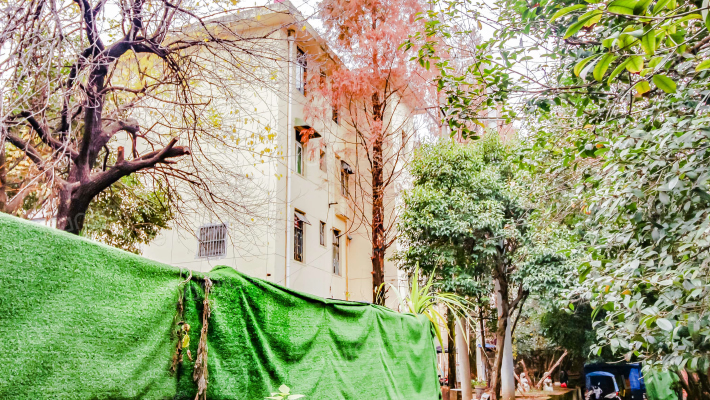 省植保站宿舍外景图
