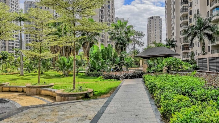 明发半岛祥湾A区外景图