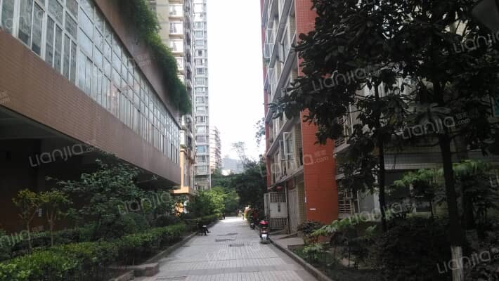 大川国际外景图