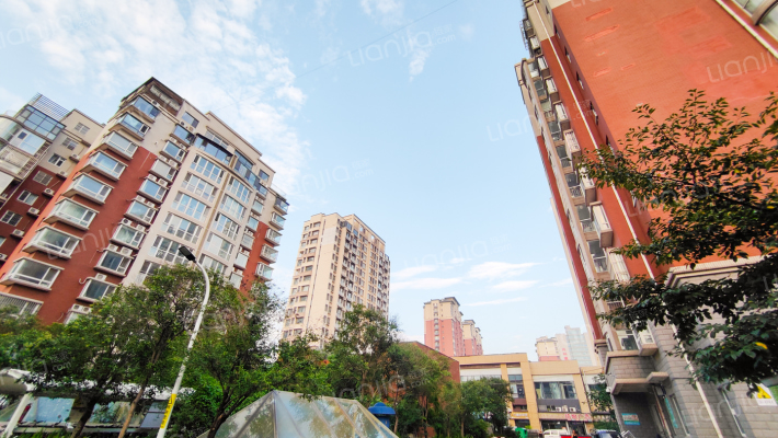 鲁信明珠外景图