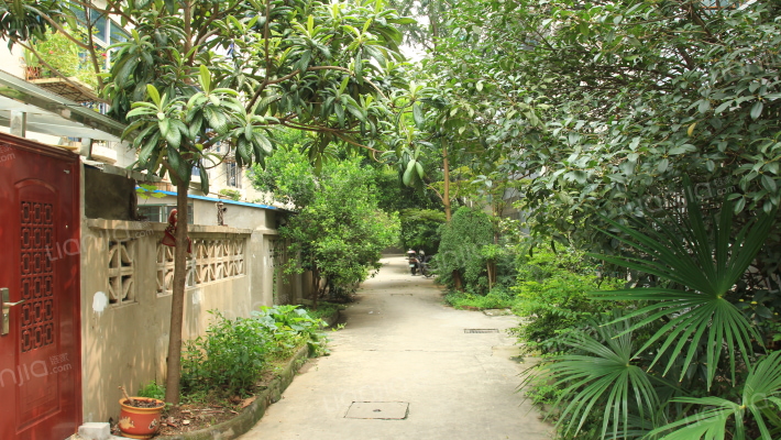 兰园小区外景图