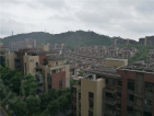 广州星河丹堤实景图